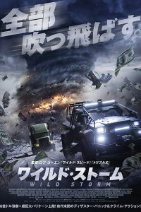 Постер к Ограбление в ураган (2018)