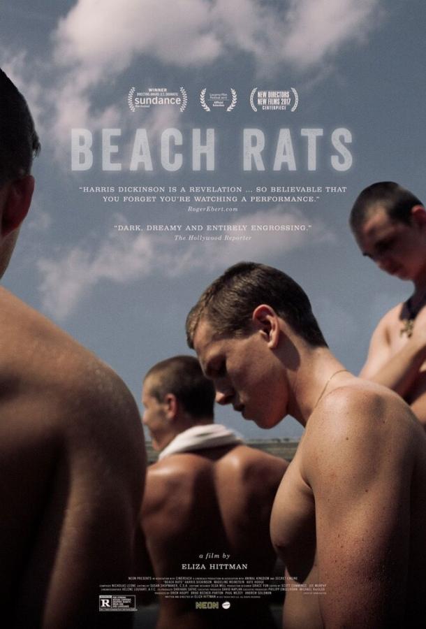 Постер к Пляжные крысы (2017)