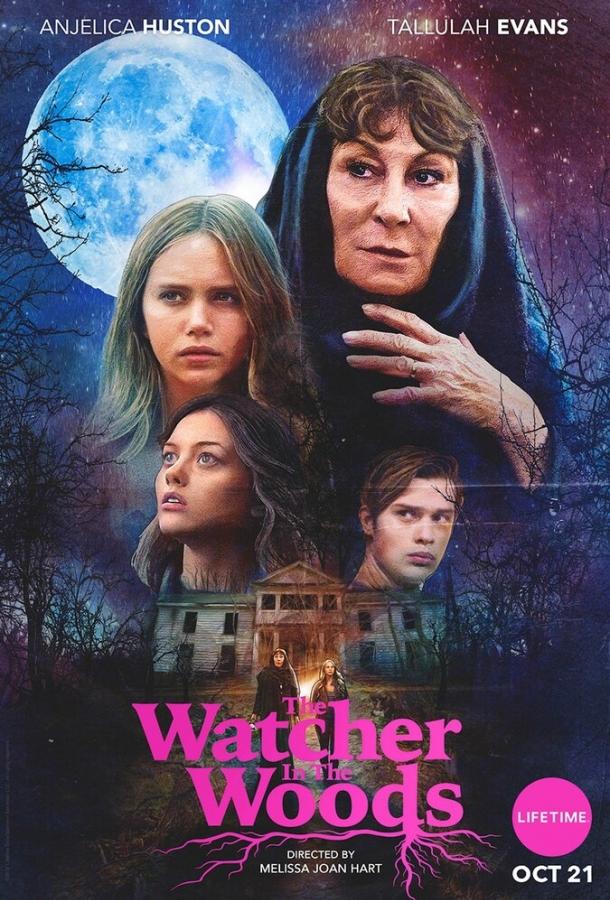 Постер к Лесной наблюдатель (2017)