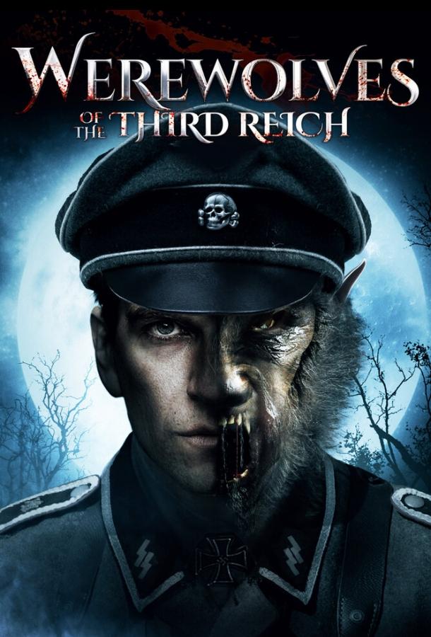 Постер к Оборотни Третьего рейха (2017)