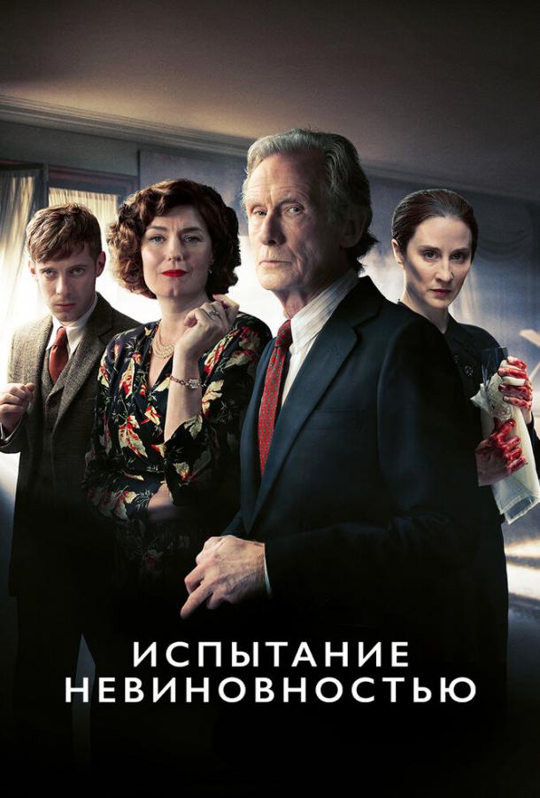Постер к Испытание невиновностью (1 сезон)