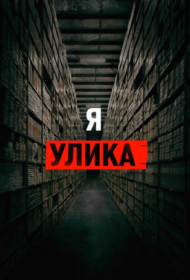 Постер к Я — улика (2017)