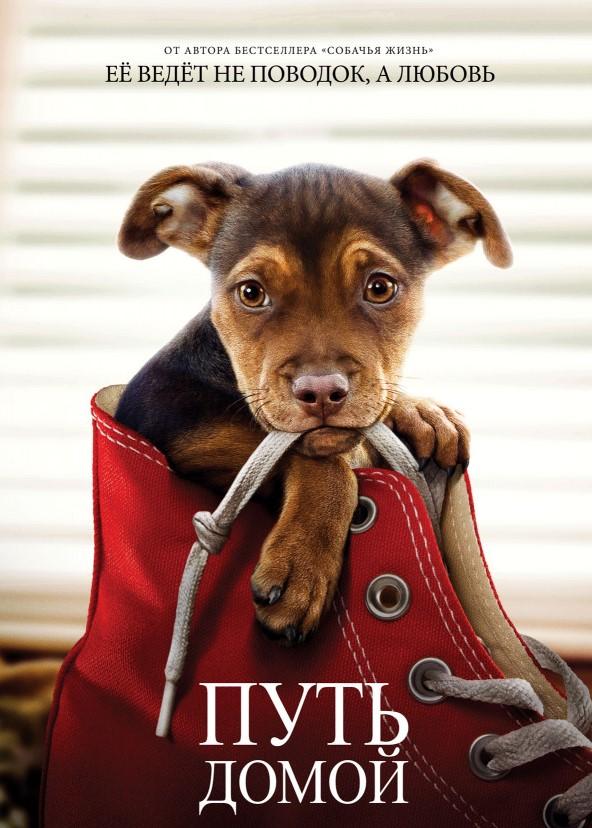 Постер к Путь домой (2019)