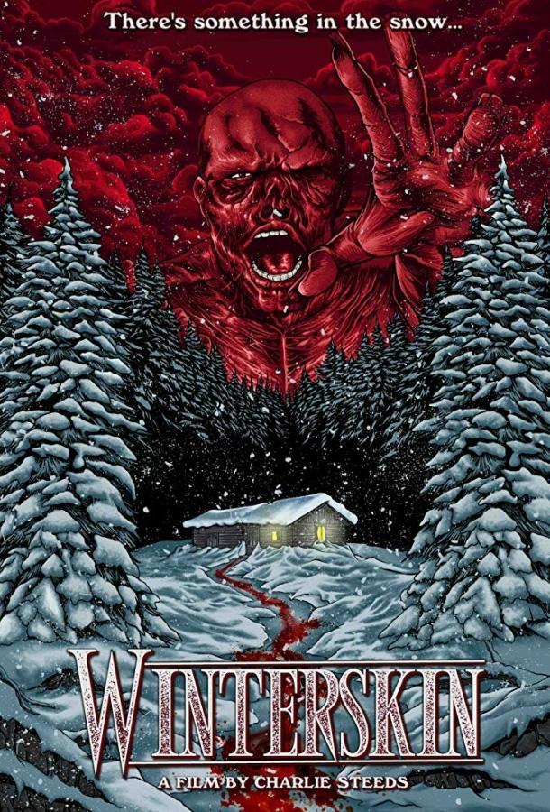Постер к Зимняя кожа (2018)