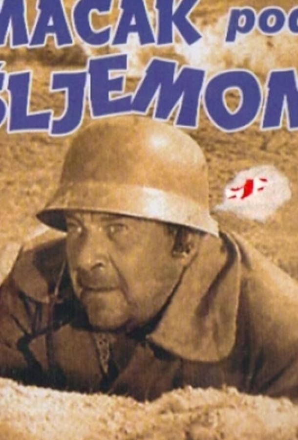 Постер к Кот под шлемом (1962)