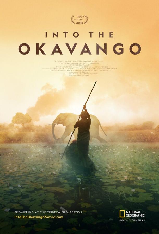 Постер к Далеко в Окаванго (2018)