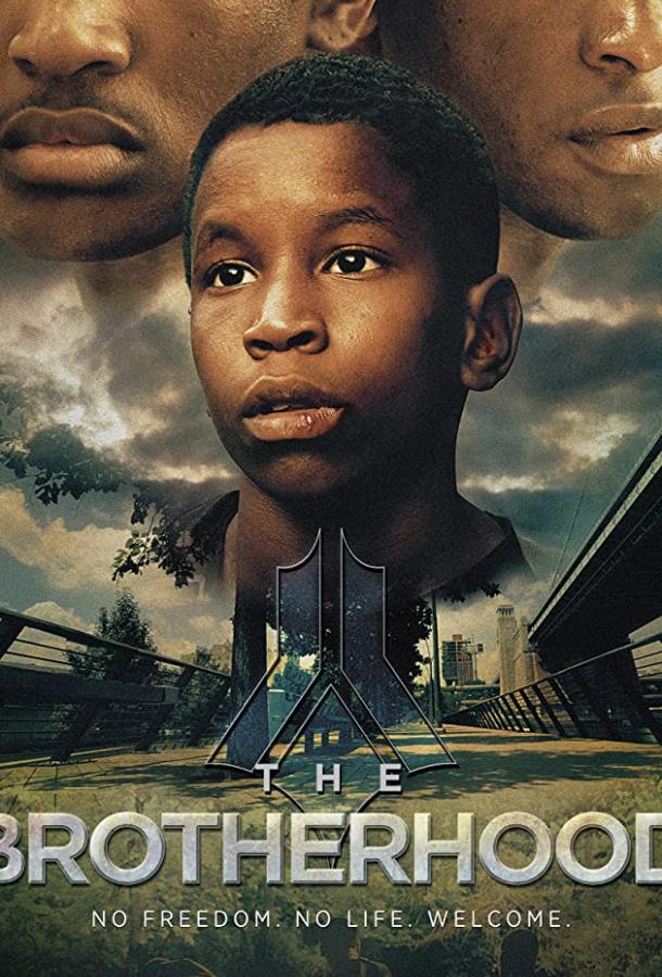 Постер к The Brotherhood (ТВ) (2017)