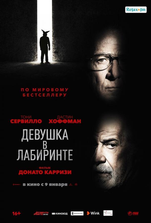 Постер к Девушка в лабиринте (2019)