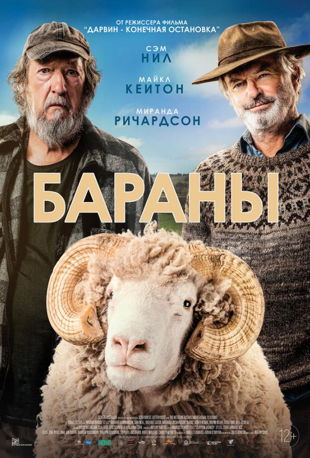 Постер к Бараны (2020)