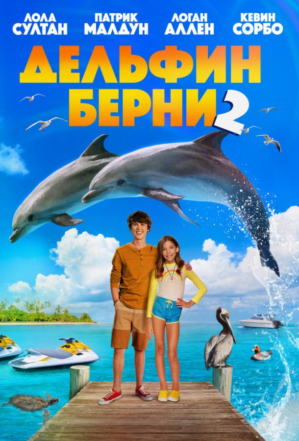 Постер к Дельфин Берни 2 (2019)