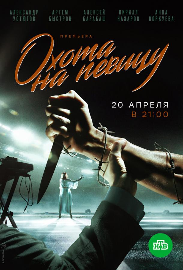 Постер к Охота на певицу (1 сезон)