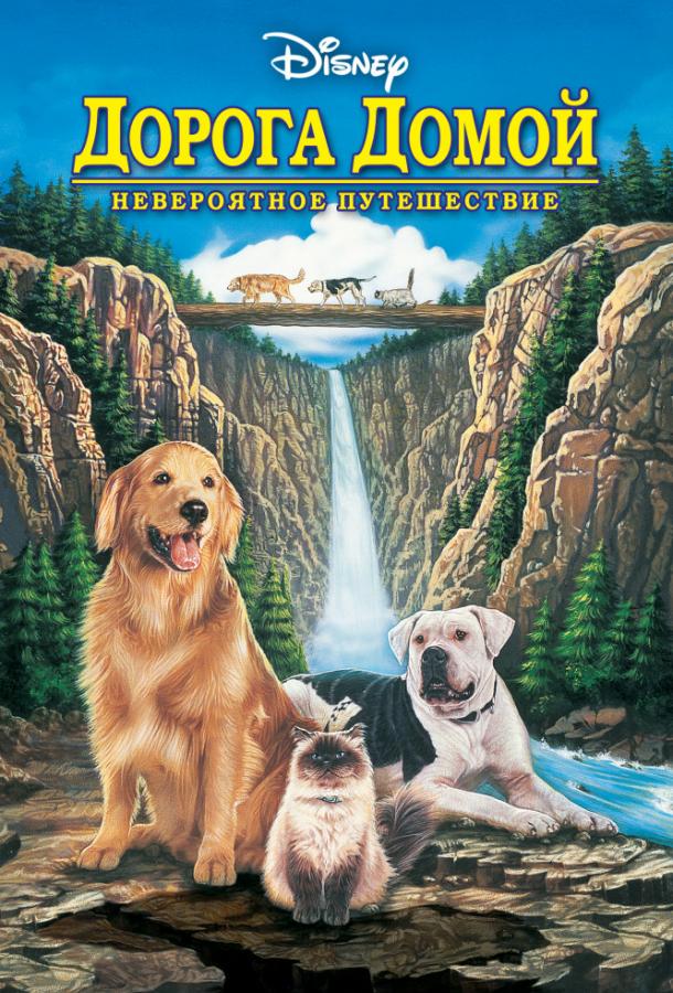Постер к Дорога домой: Невероятное путешествие (1993)