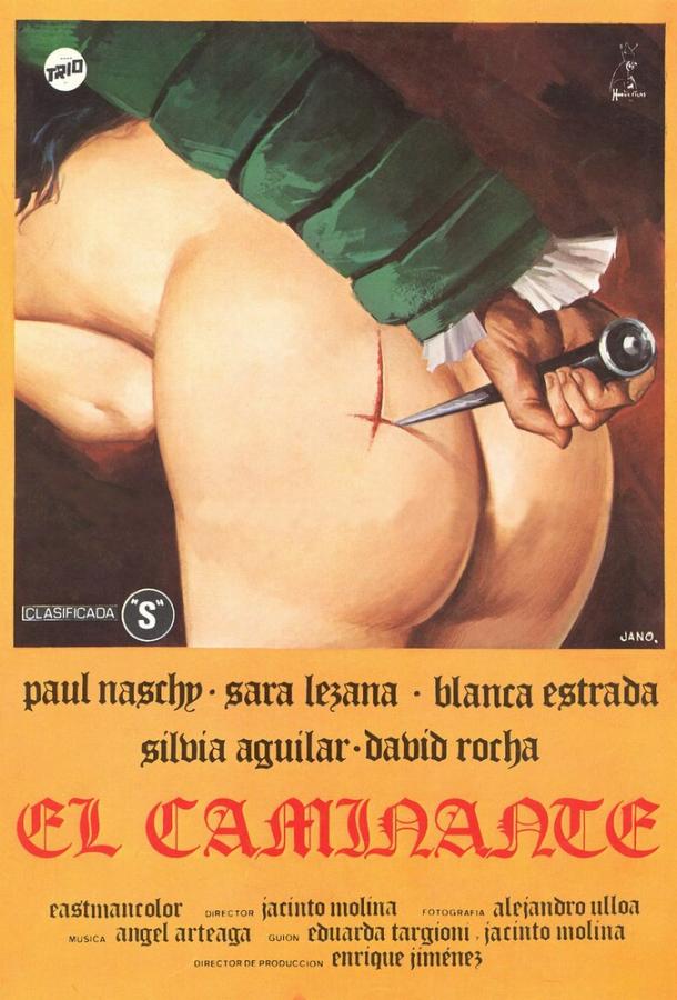 Постер к Странник (1979)