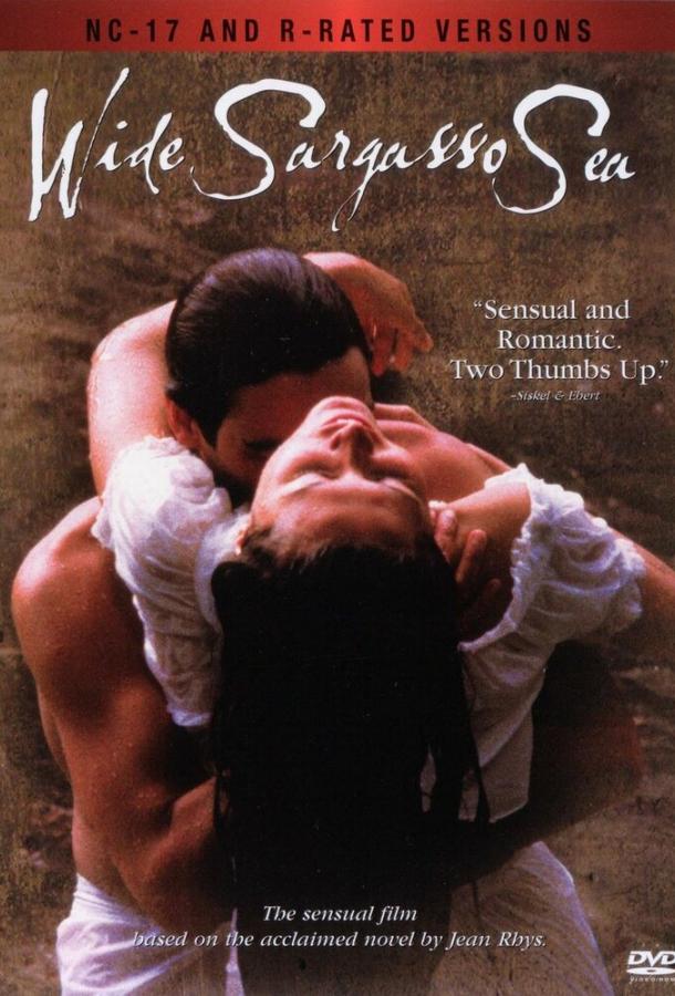 Постер к Широкое Саргассово море (1992)