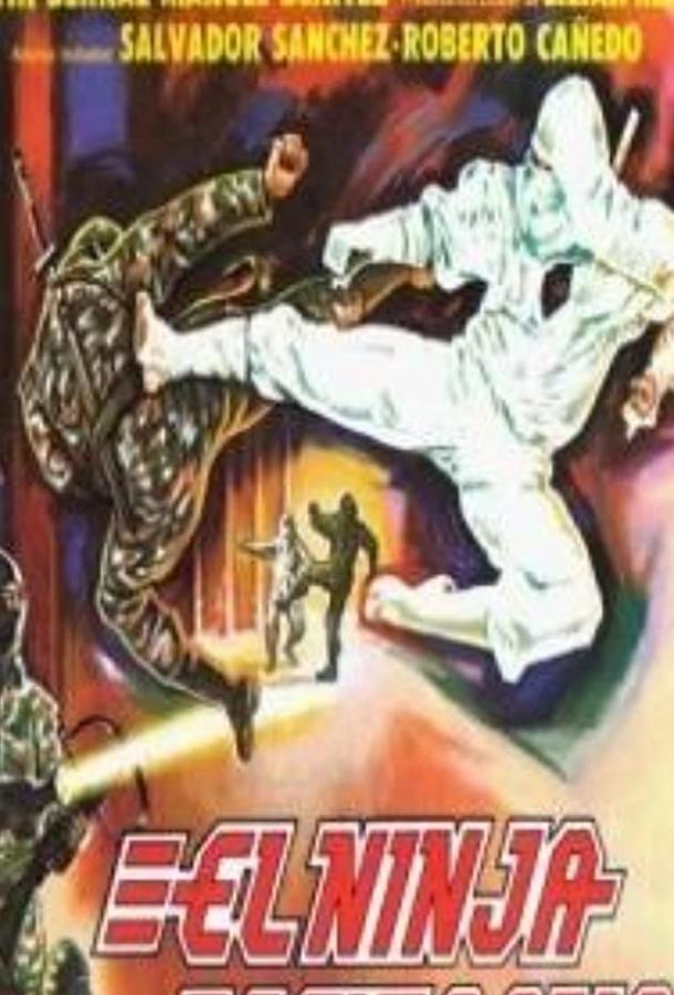 Постер к Мексиканский ниндзя (1991)