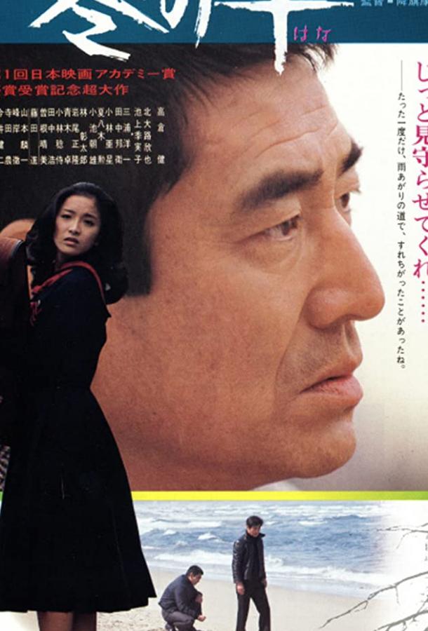 Постер к Зимний цветок (1978)