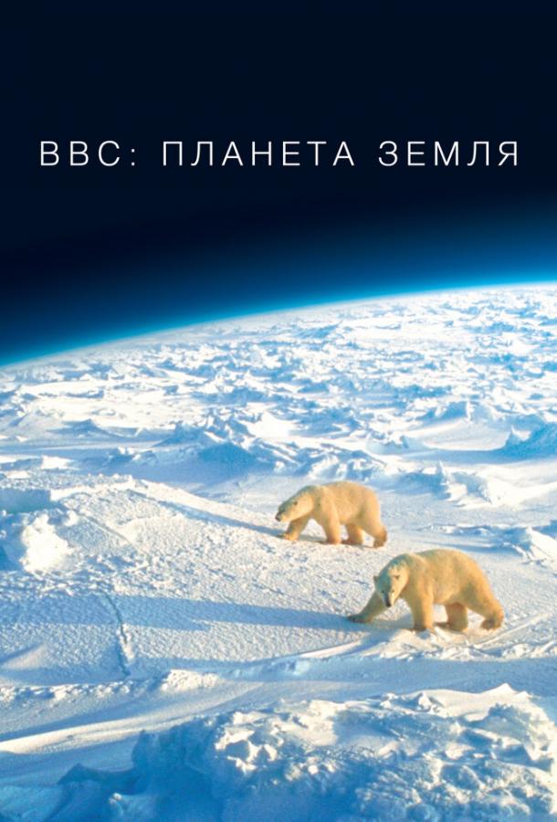 Постер к BBC: Планета Земля (1 сезон)
