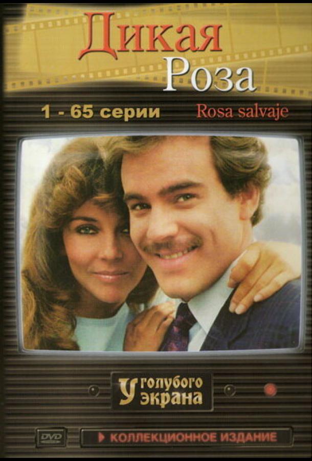 Постер к Дикая роза (1 сезон)