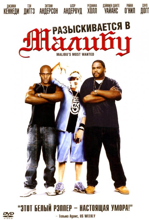 Постер к Разыскиваются в Малибу (2003)