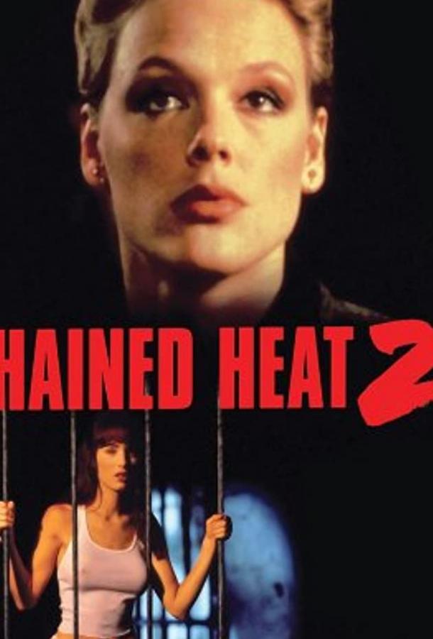 Постер к Женщины за решеткой 2 (1993)