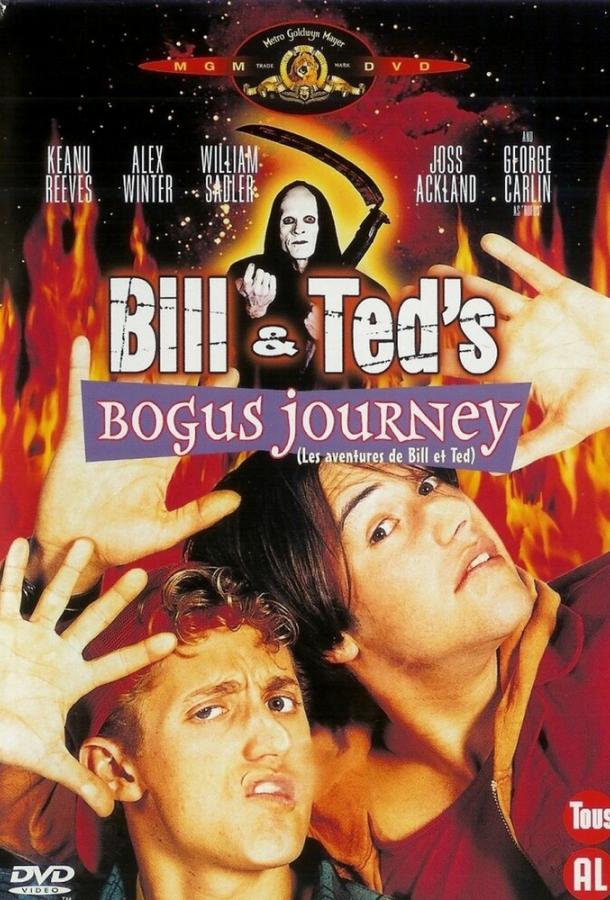 Постер к Новые приключения Билла и Теда (1991)
