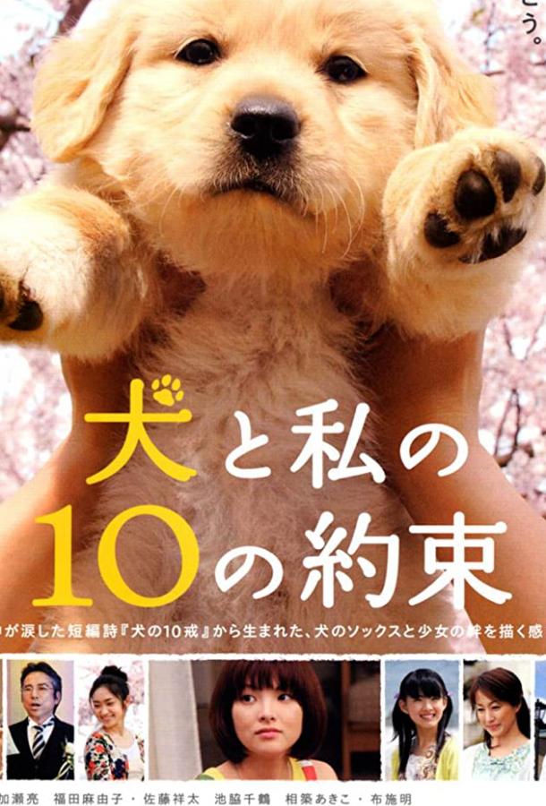 Постер к 10 обещаний моей собаке (2008)