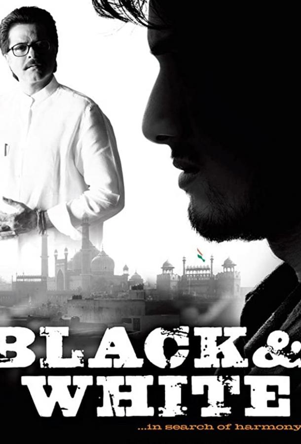 Постер к Черное и белое (2008)