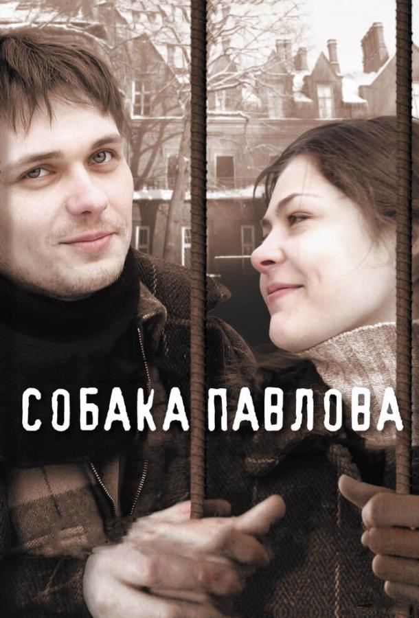 Постер к Собака Павлова (2005)
