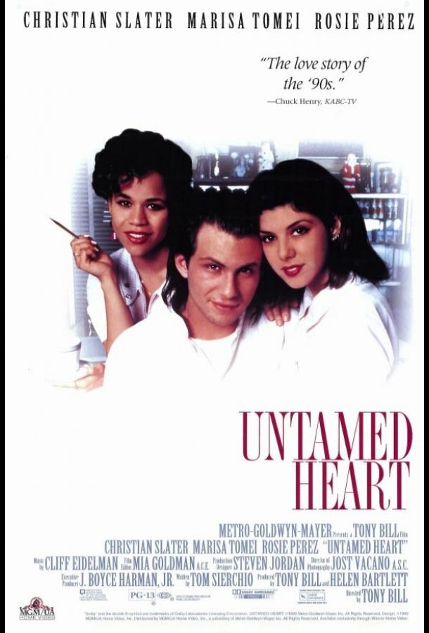 Постер к Дикое сердце (1993)