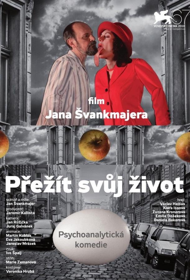 Постер к Пережить свою жизнь (2010)