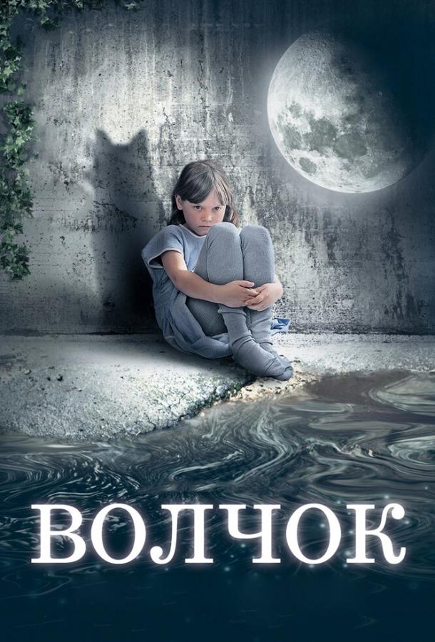 Постер к Волчок (2009)
