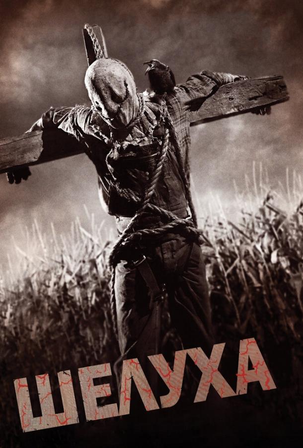 Постер к Шелуха (2010)