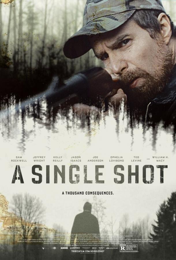 Постер к Единственный выстрел (2013)