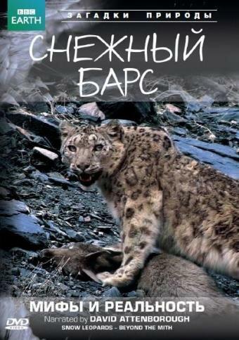 Постер к BBC: Снежный барс: Мифы и реальности (1 сезон)