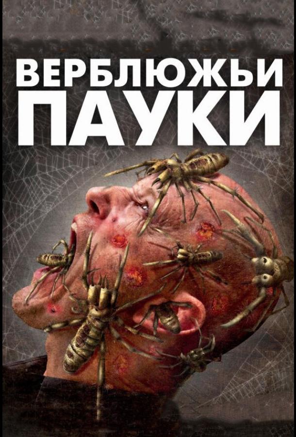 Постер к Верблюжьи пауки (2011)