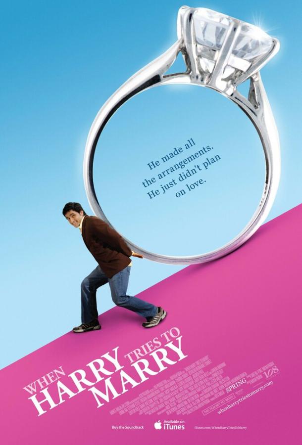 Постер к Гарри пытается жениться (2011)