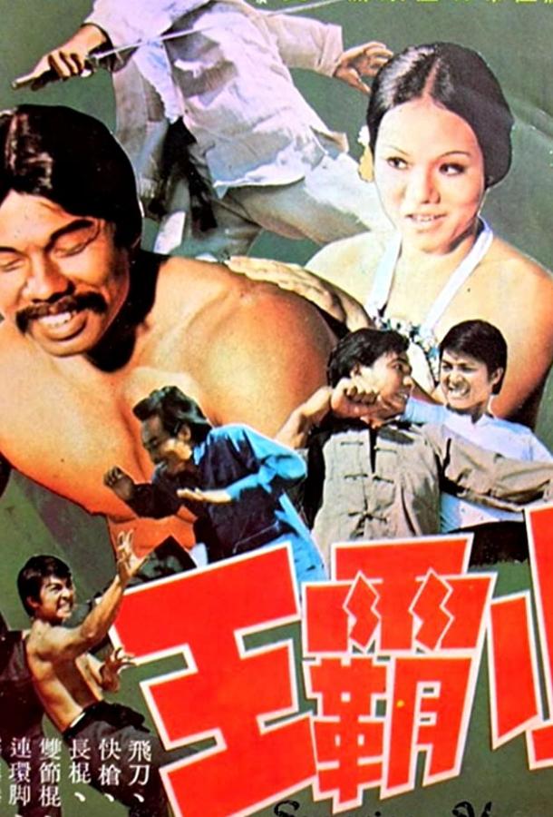 Постер к Парень суперкунгфуист (1973)