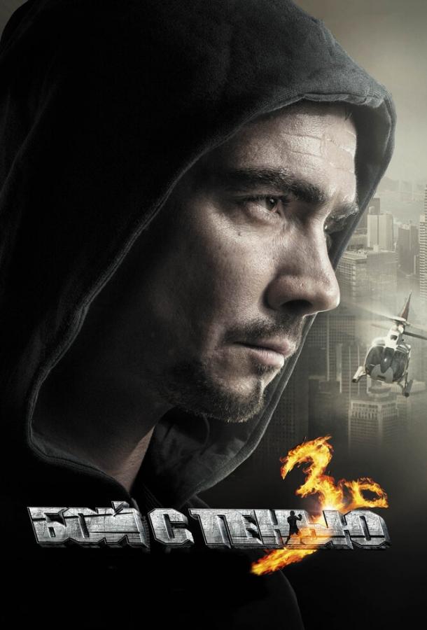 Постер к Бой с тенью 3D: Последний раунд (2011)