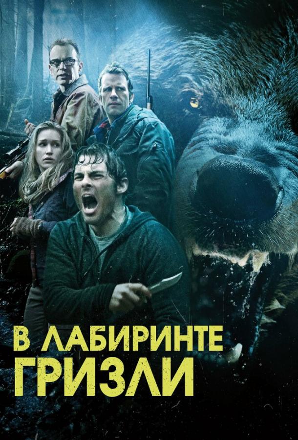 Постер к В лабиринте гризли (2015)