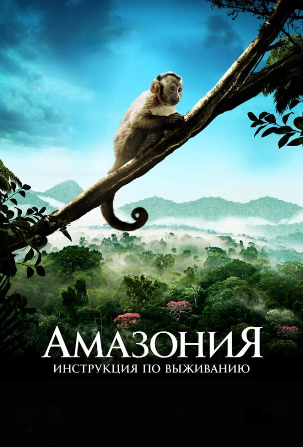 Постер к Амазония: Инструкция по выживанию (2013)