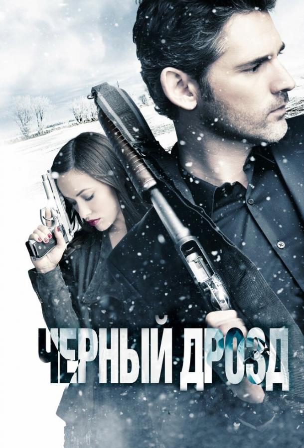 Постер к Черный дрозд (2011)