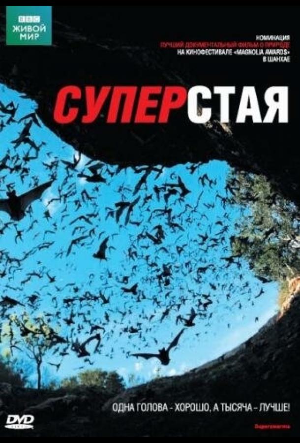 Постер к BBC: Суперстая (1 сезон)