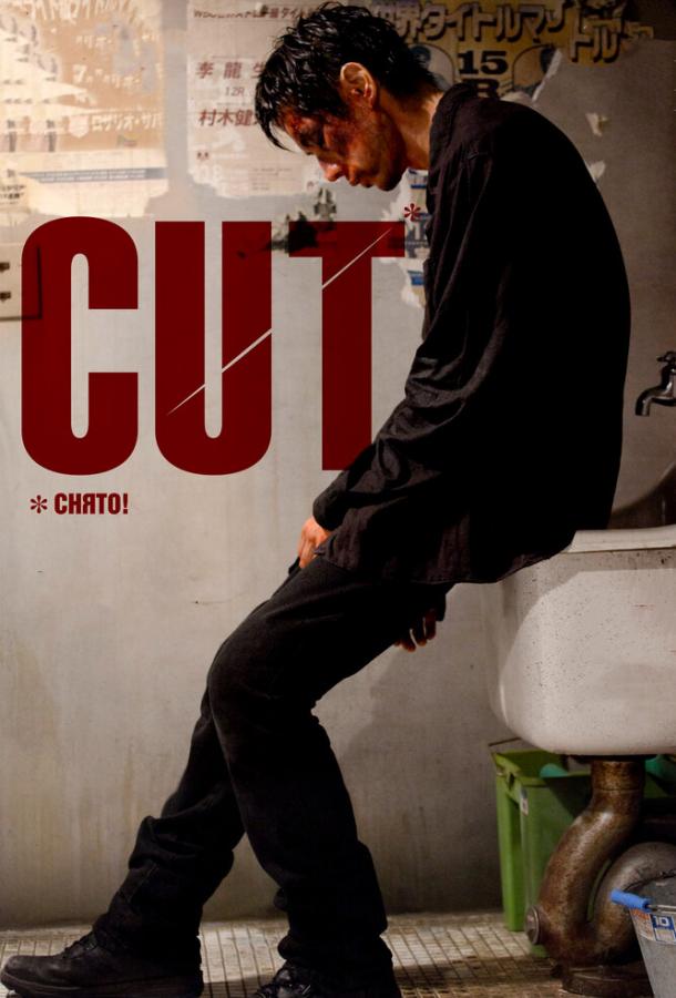 Постер к Снято! (2011)