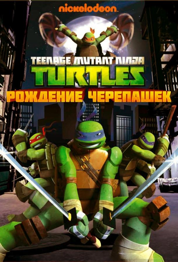 Постер к Черепашки-ниндзя (1-5 сезон)