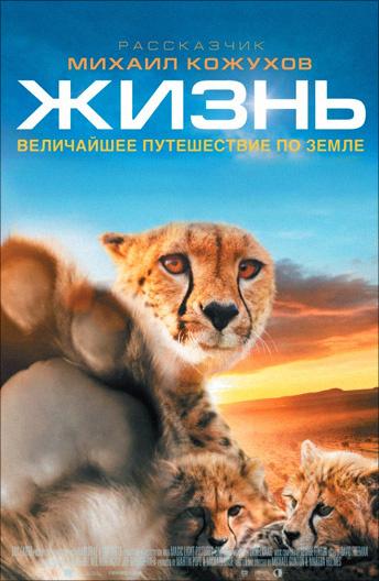 Постер к Жизнь (2011)