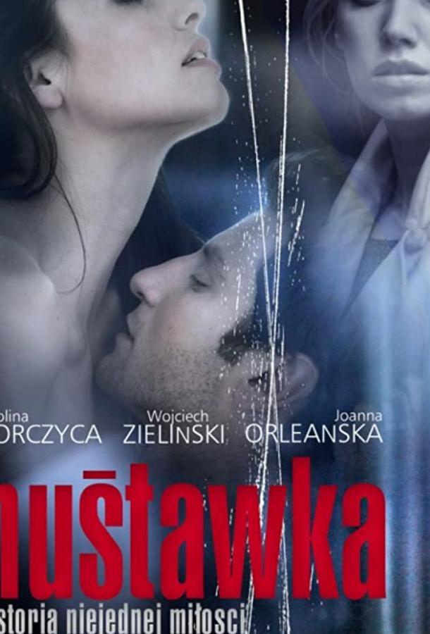 Постер к Качели (2010)
