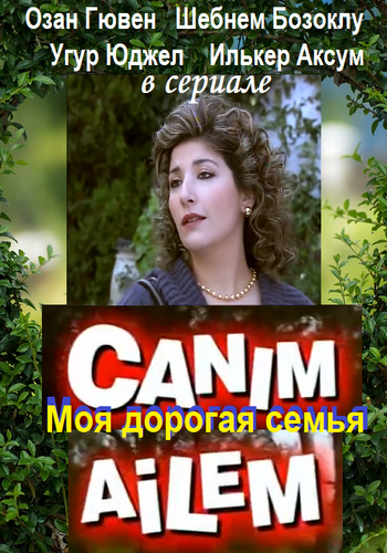 Постер к Дорогая моя семья (1 сезон)