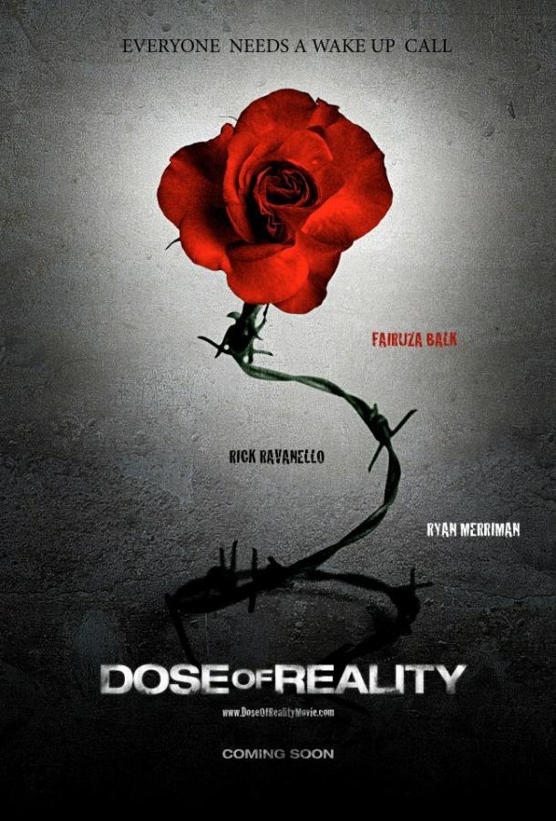 Постер к Доза реальности (2013)