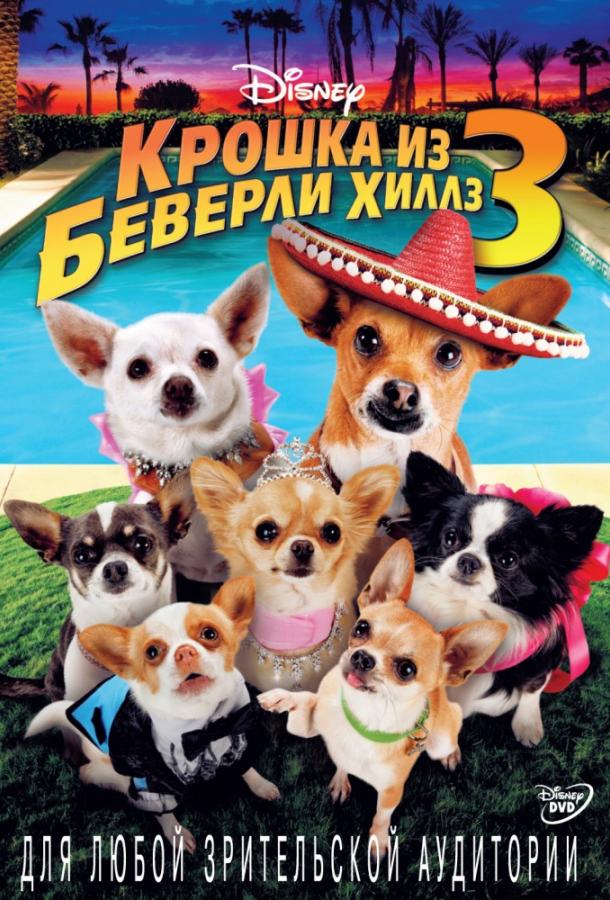 Постер к Крошка из Беверли-Хиллз 3 (2012)