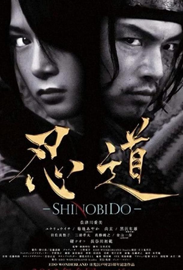 Постер к Шинобидо (2012)